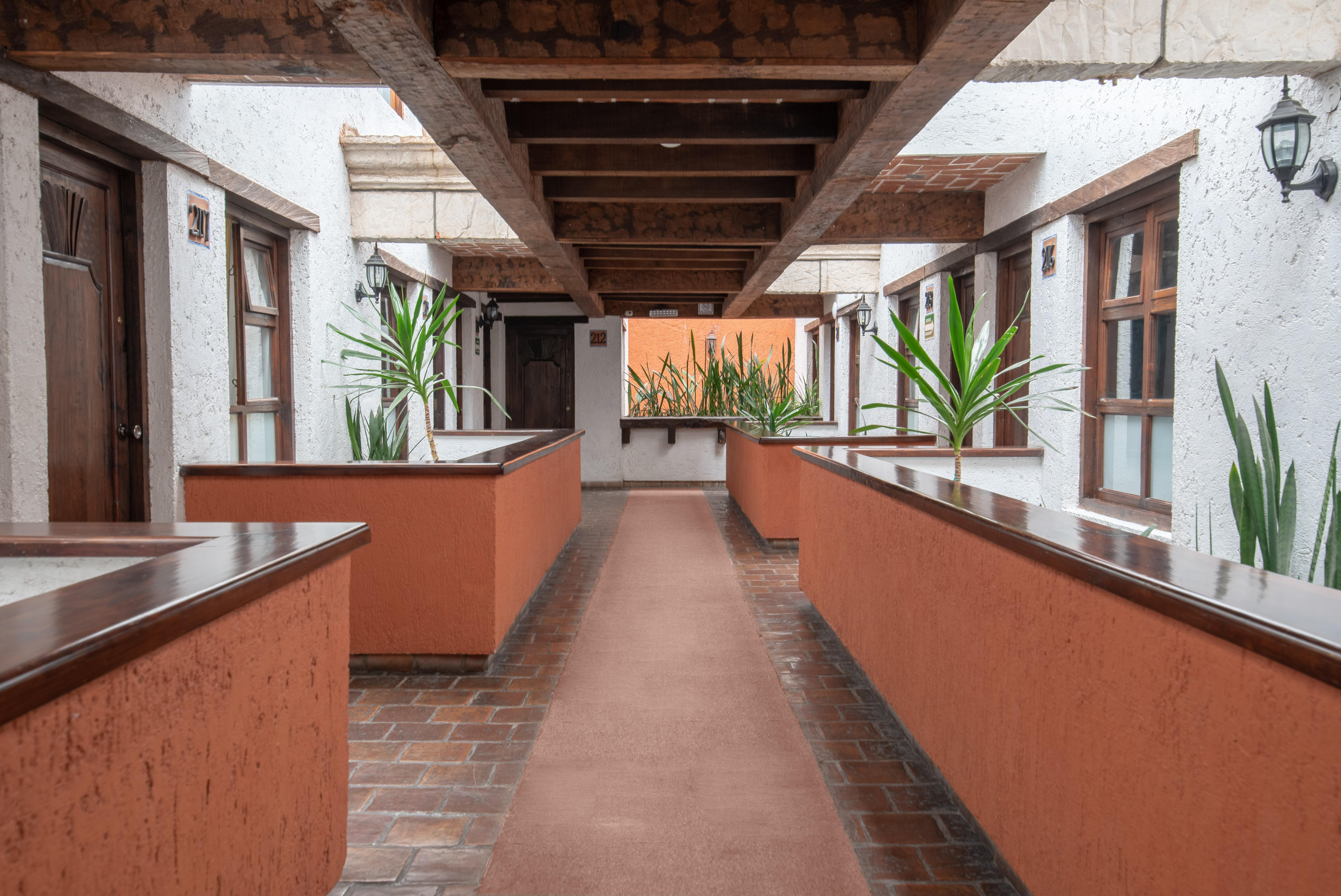 Hotel Plaza Magnolias San Cristóbal de Las Casas Exterior foto
